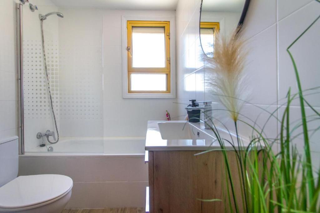 Sol Y Luz Apartamento Levante Centro Бенидорм Екстериор снимка